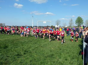 kaiyun体育app-中国篮球青少年篮球发展政策落实,国家对青少年篮球的政策