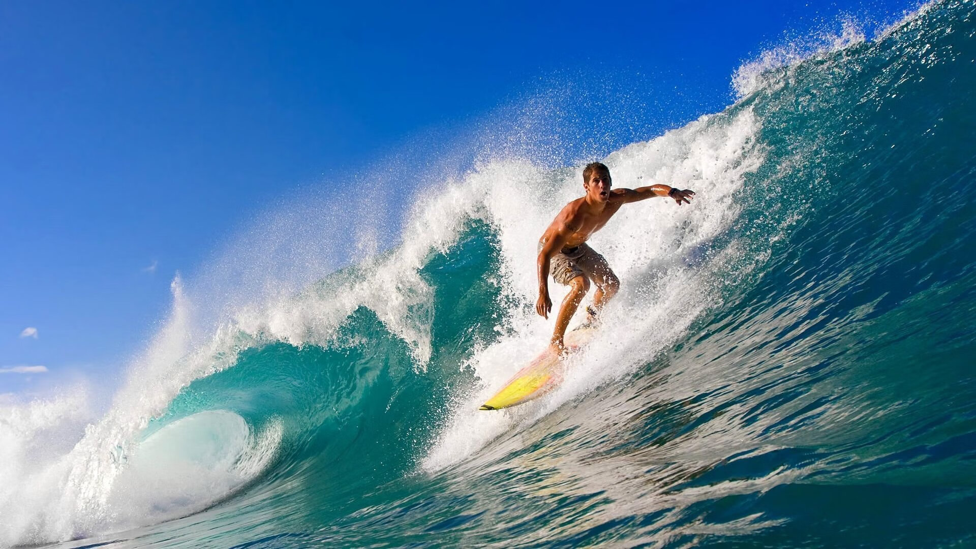 WNBA纽约自由人估值达4.5亿美元，创女子体育队伍新纪录，纽约自由人比赛