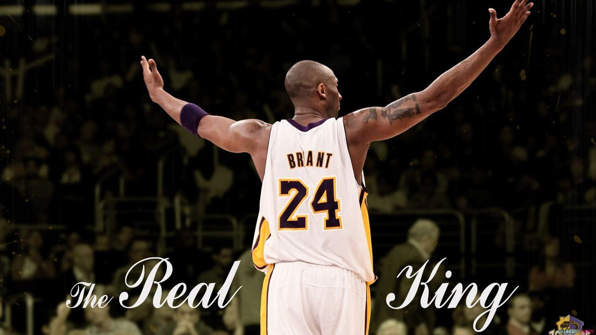 电竞选手职业形象日益多元化，电竞选手的发展